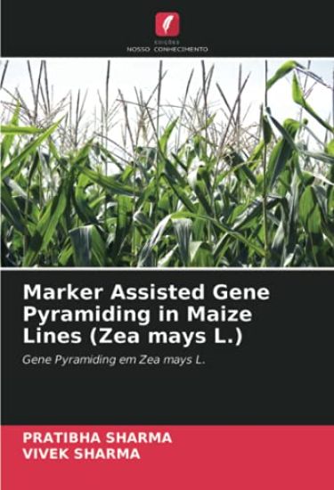 Marker Assisted Gene Pyramiding in Maize Lines (Zea mays L.) – Pratibha Sharma, kirjan kansikuva