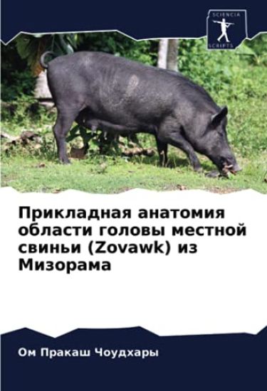 Prikladnaq anatomiq oblasti golowy mestnoj swin'i (Zovawk) iz Mizorama
