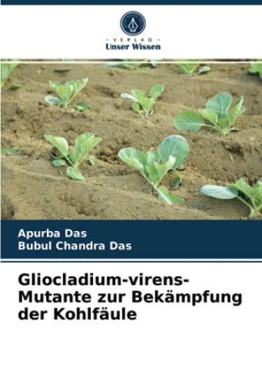 Gliocladium-virens-Mutante zur Bekämpfung der Kohlfäule