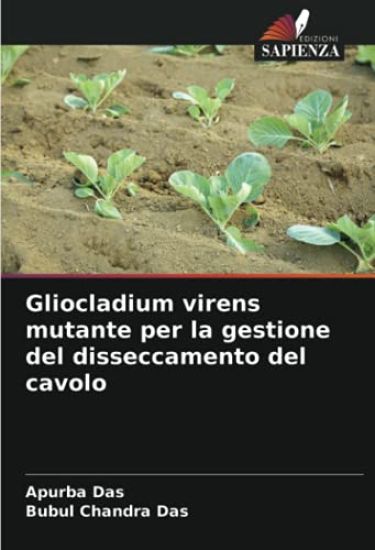Gliocladium virens mutante per la gestione del disseccamento del cavolo