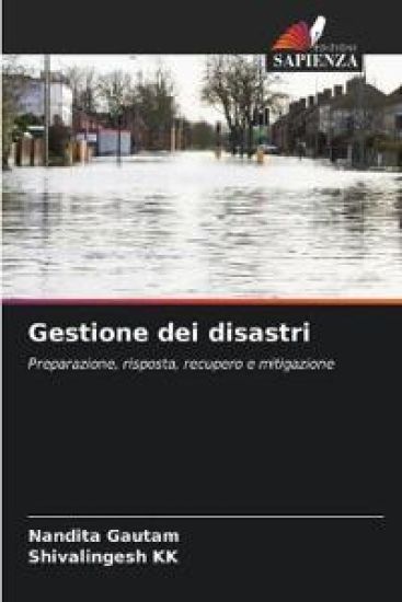 Gestione dei disastri