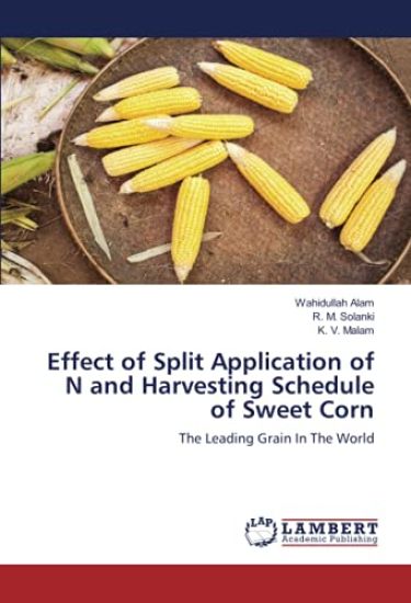 Effect of Split Application of N and Harvesting Schedule of Sweet Corn