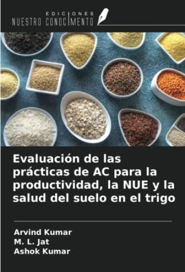 Evaluación de las prácticas de AC para la productividad, la NUE y la salud del suelo en el trigo