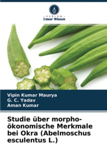 Studie über morpho-ökonomische Merkmale bei Okra (Abelmoschus esculentus L.)