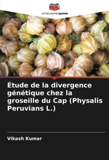 Étude de la divergence génétique chez la groseille du Cap (Physalis Peruvians L.)