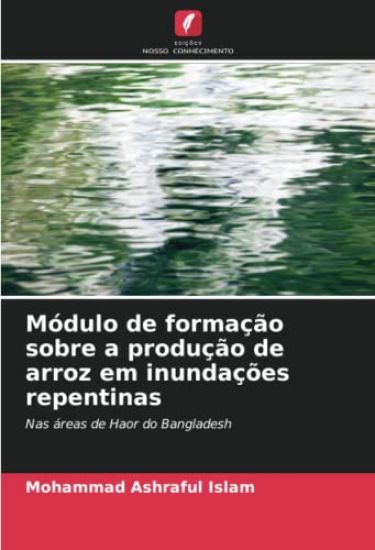 Módulo de formação sobre a produção de arroz em inundações repentinas