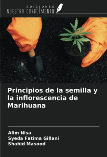 Principios de la semilla y la inflorescencia de Marihuana
