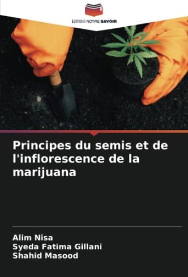 Principes du semis et de l'inflorescence de la marijuana