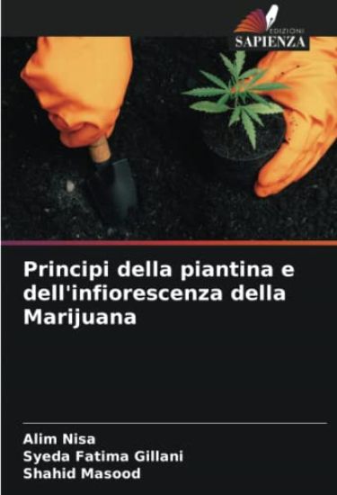 Principi della piantina e dell'infiorescenza della Marijuana