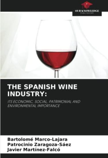 THE SPANISH WINE INDUSTRY: