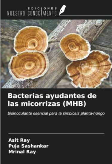 Bacterias ayudantes de las micorrizas (MHB)