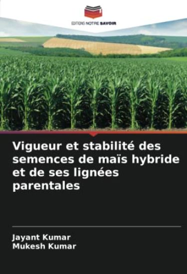 Vigueur et stabilité des semences de maïs hybride et de ses lignées parentales