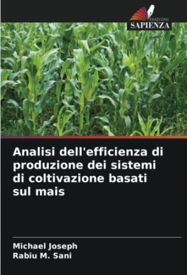 Analisi dell'efficienza di produzione dei sistemi di coltivazione basati sul mais