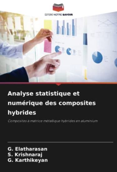 Analyse statistique et numérique des composites hybrides