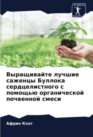 Vyraschiwajte luchshie sazhency Bulloka serdcelistnogo s pomosch'ü organicheskoj pochwennoj smesi