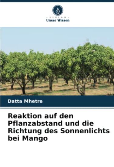 Reaktion auf den Pflanzabstand und die Richtung des Sonnenlichts bei Mango