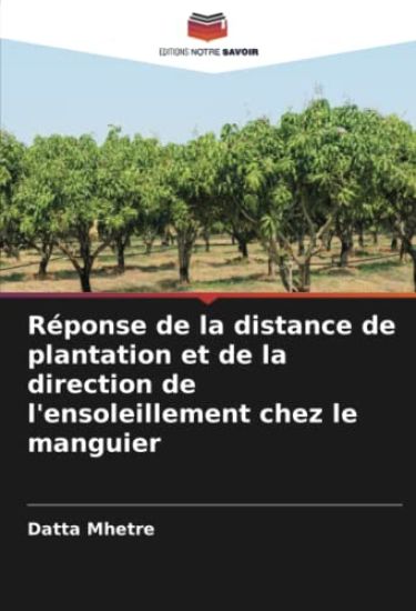 Réponse de la distance de plantation et de la direction de l'ensoleillement chez le manguier