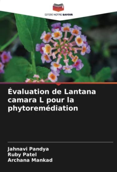 Évaluation de Lantana camara L pour la phytoremédiation
