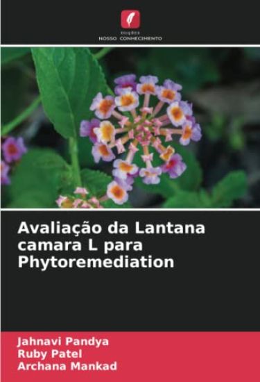 Avaliação da Lantana camara L para Phytoremediation