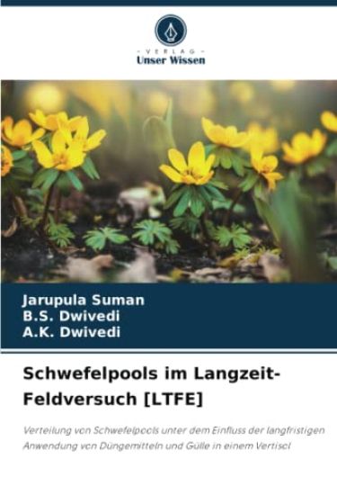 Schwefelpools im Langzeit-Feldversuch [LTFE]