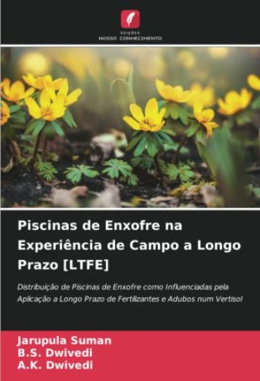 Piscinas de Enxofre na Experiência de Campo a Longo Prazo [LTFE]