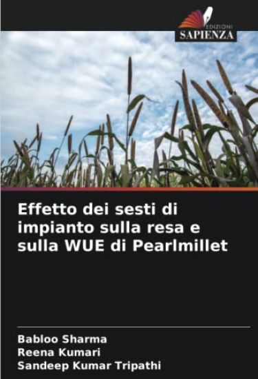 Effetto dei sesti di impianto sulla resa e sulla WUE di Pearlmillet