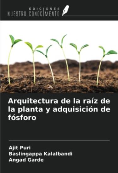 Arquitectura de la raíz de la planta y adquisición de fósforo