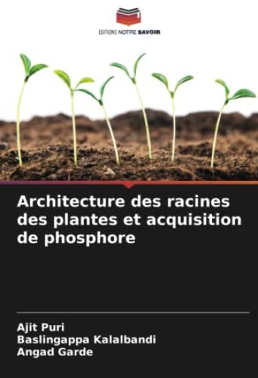 Architecture des racines des plantes et acquisition de phosphore
