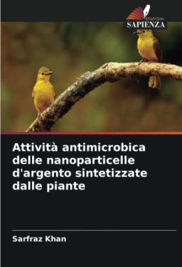 Attività antimicrobica delle nanoparticelle d'argento sintetizzate dalle piante