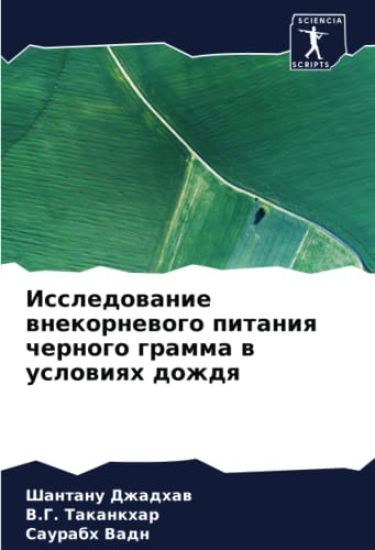 Issledowanie wnekornewogo pitaniq chernogo gramma w uslowiqh dozhdq