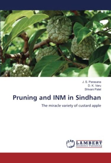 Pruning and INM in Sindhan