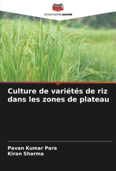 Culture de variétés de riz dans les zones de plateau