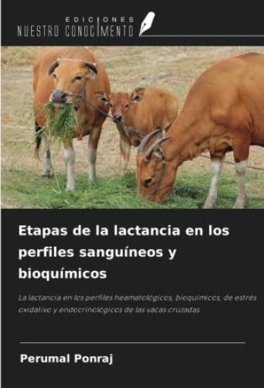 Etapas de la lactancia en los perfiles sanguíneos y bioquímicos