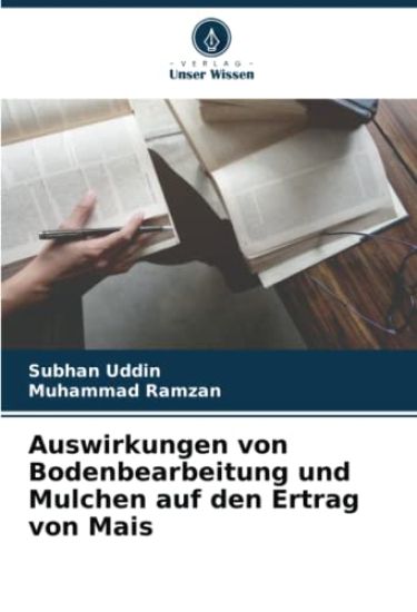 Auswirkungen von Bodenbearbeitung und Mulchen auf den Ertrag von Mais