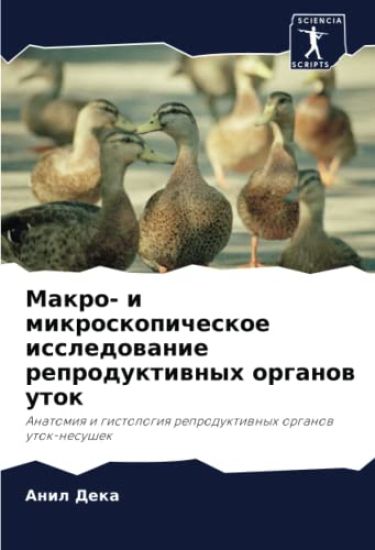 Makro- i mikroskopicheskoe issledowanie reproduktiwnyh organow utok