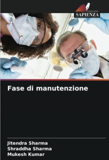 Fase di manutenzione