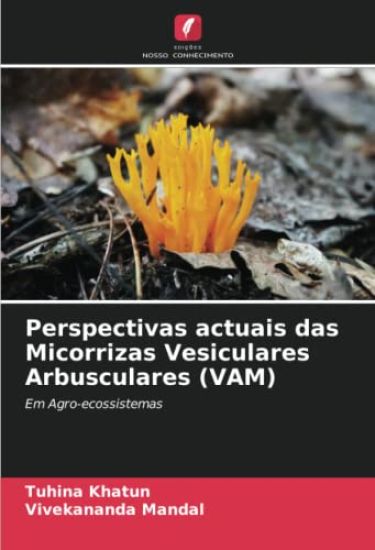 Perspectivas actuais das Micorrizas Vesiculares Arbusculares (VAM)