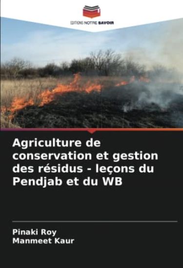 Agriculture de conservation et gestion des résidus - leçons du Pendjab et du WB