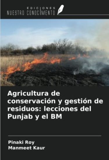 Agricultura de conservación y gestión de residuos: lecciones del Punjab y el BM