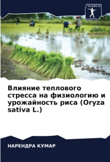 Vliqnie teplowogo stressa na fiziologiü i urozhajnost' risa (Oryza sativa L.)