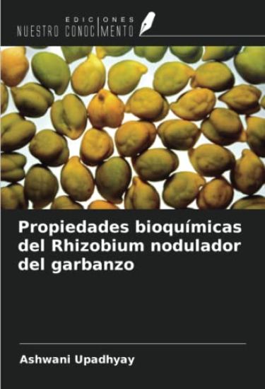 Propiedades bioquímicas del Rhizobium nodulador del garbanzo