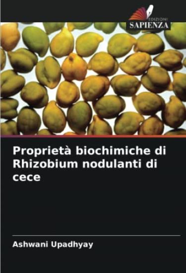 Proprietà biochimiche di Rhizobium nodulanti di cece