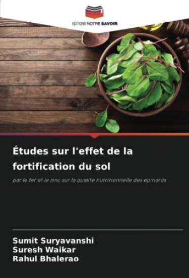 Études sur l'effet de la fortification du sol
