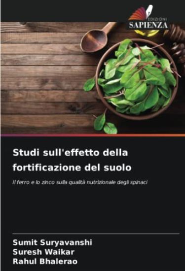 Studi sull'effetto della fortificazione del suolo