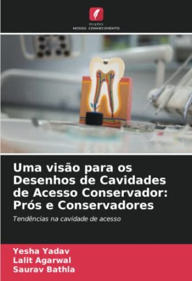 Uma visão para os Desenhos de Cavidades de Acesso Conservador: Prós e Conservadores