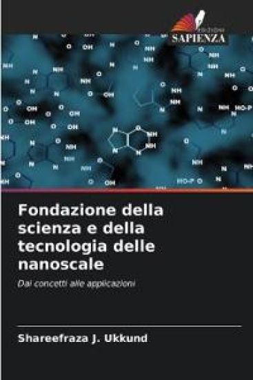 Fondazione della scienza e della tecnologia delle nanoscale