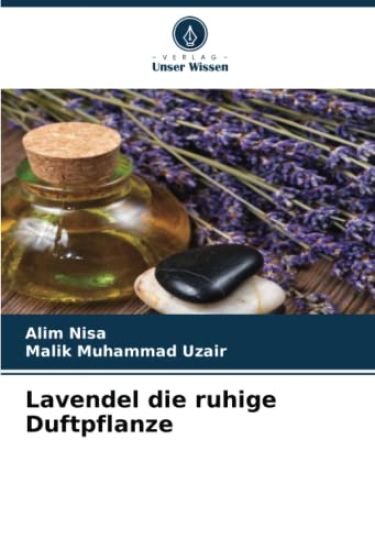 Lavendel die ruhige Duftpflanze