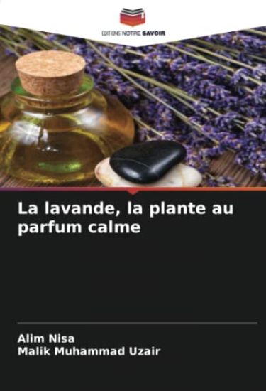 La lavande, la plante au parfum calme