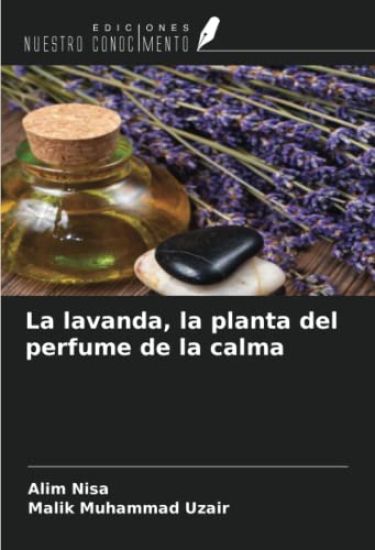 La lavanda, la planta del perfume de la calma