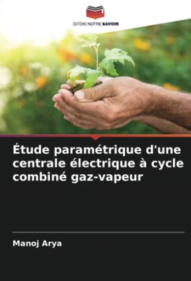 Étude paramétrique d'une centrale électrique à cycle combiné gaz-vapeur